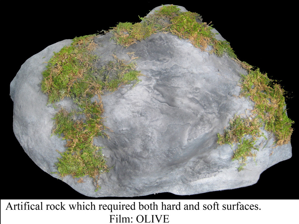 RockAAAAAAAAAAAAAAAAAAAAAAAAAAAA.jpg